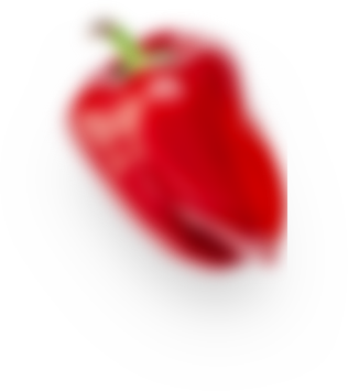 Перець